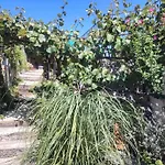 Salvia By Interhome Σπίτι διακοπών Jurdani
