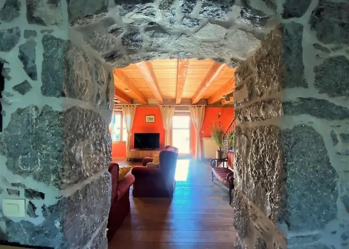 Salvia By Interhome Jurdani